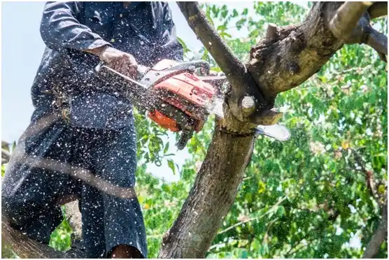 tree services Adair Village